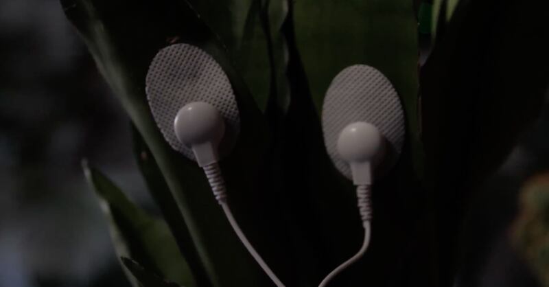 biosonificación