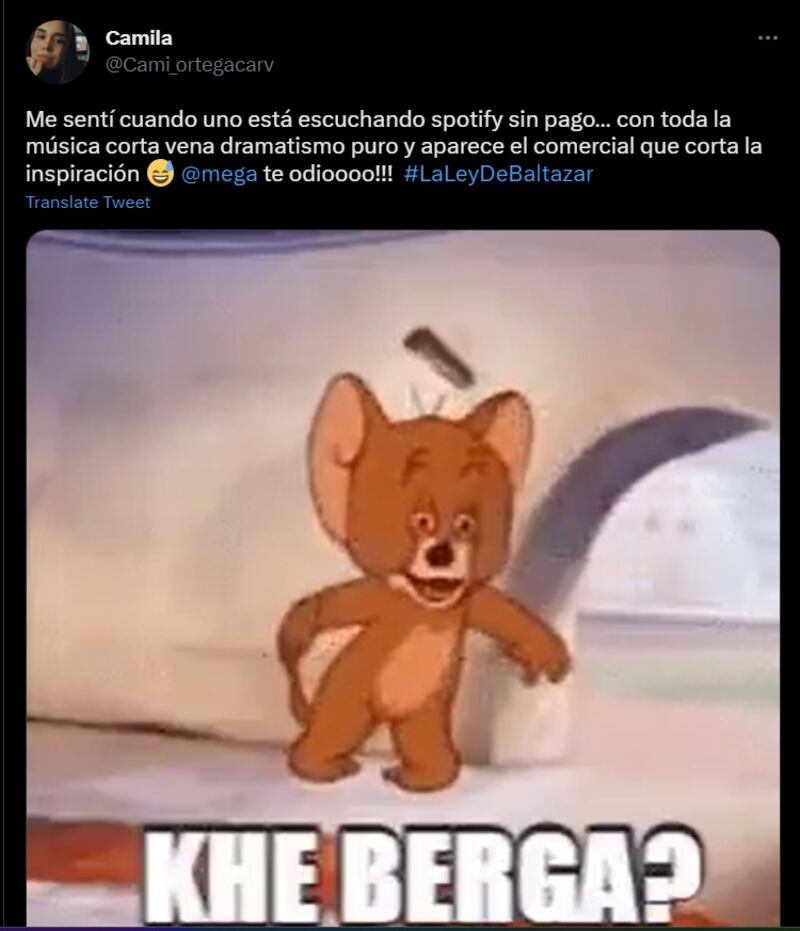 Crítica a Mega | Twitter