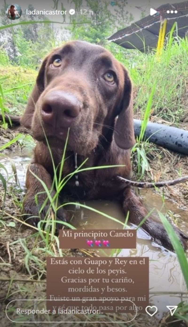 La influencer lamentó la muerte del perro Canelo.