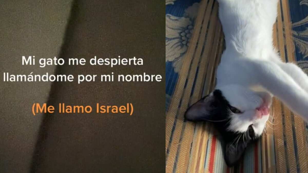 El video se volvió viral