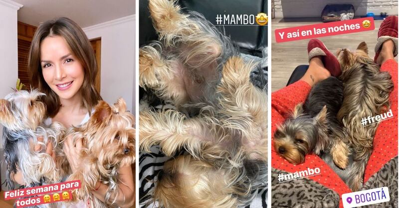 Carmen Villalobos ama a sus mascotas