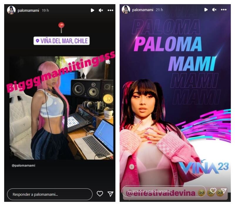 La artista nacional agradeció en sus redes sociales ser confirmada en el escenario de la Quinta Vergara y adelantó el lanzamiento de su segundo disco.