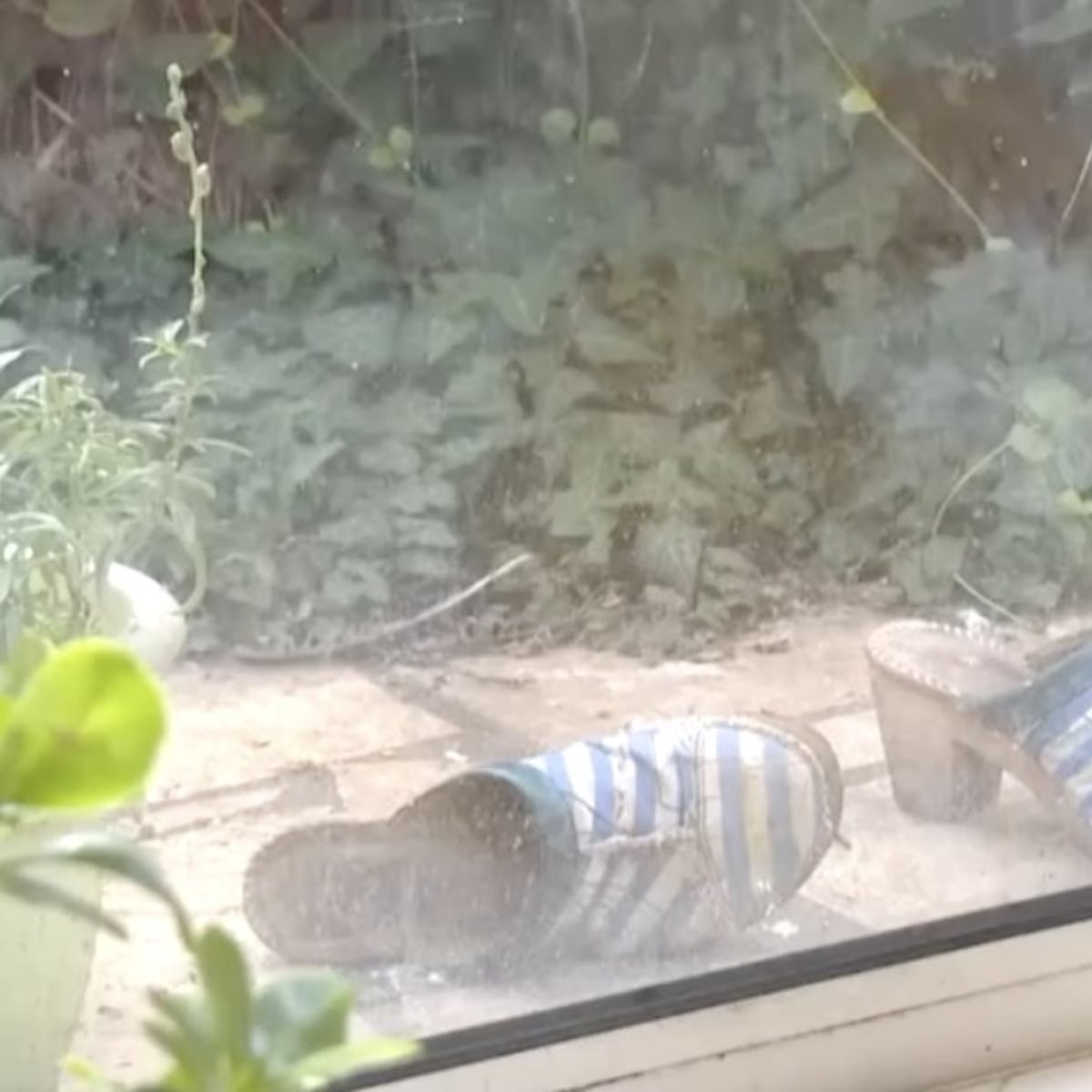 Tribunal condena a Rémi por conducta antisocial Tribunal condena a Rémi por conducta antisocial