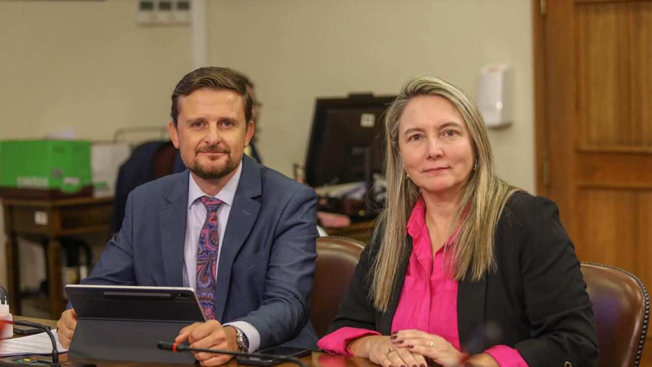 Diputados Stephan Schubert y Catalina del Real