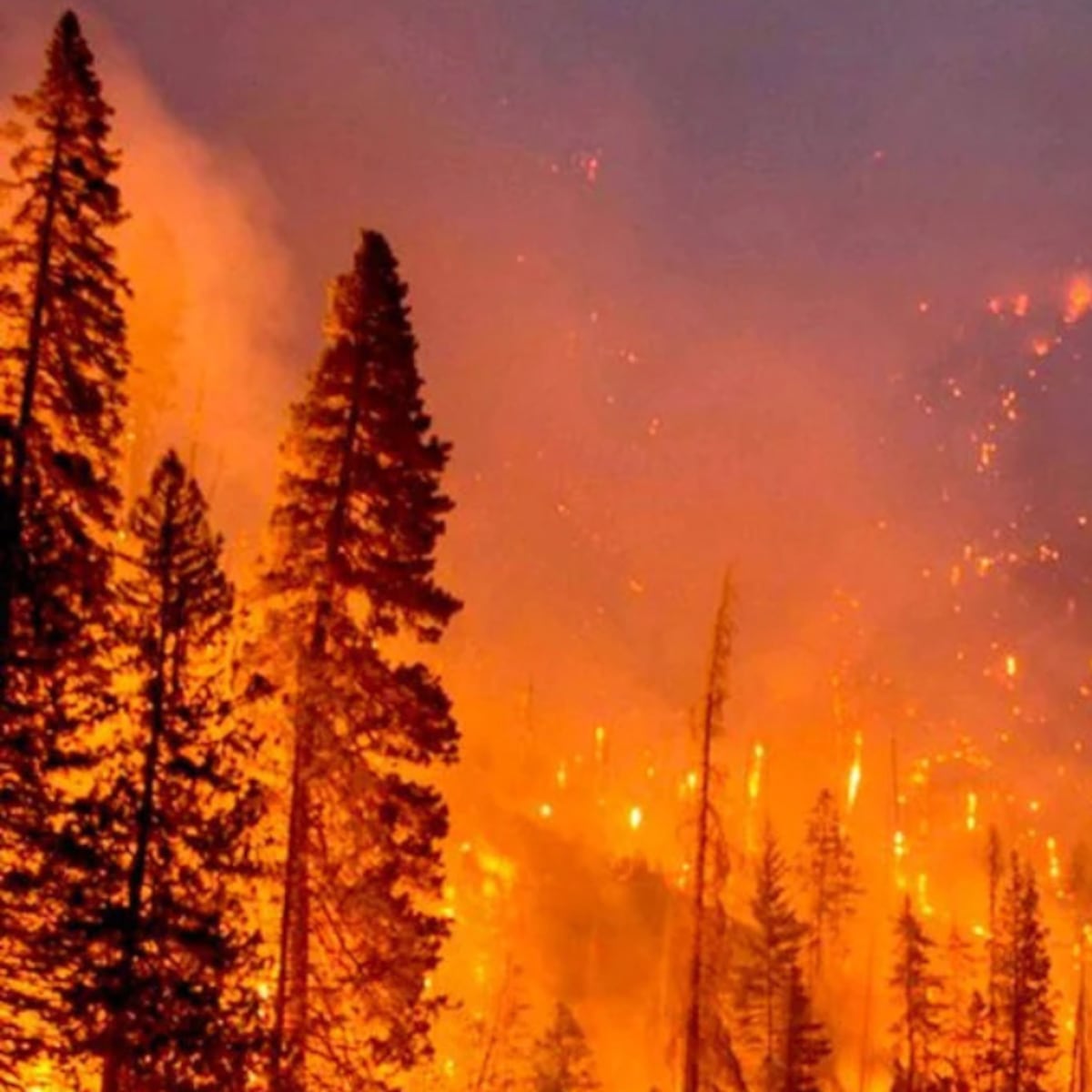 Impacto de las movilidades climáticas en Chile Impacto de las movilidades climáticas en Chile