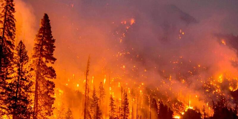 Incendios forestales en La Araucanía