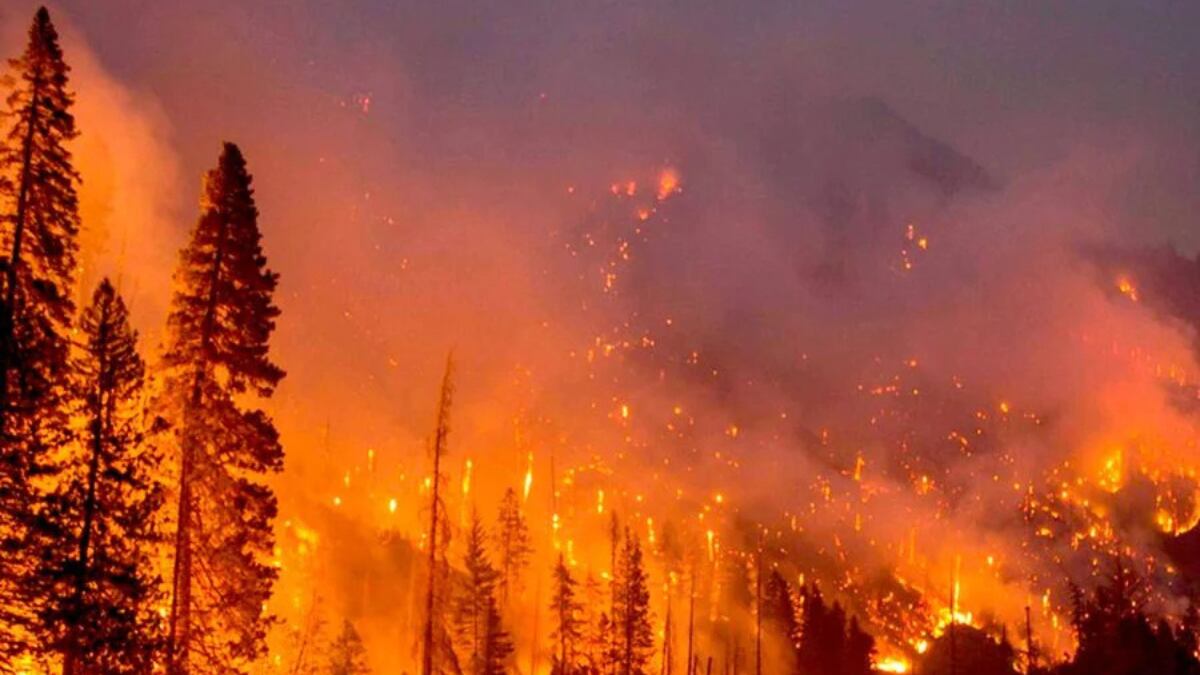 Incendios forestales en La Araucanía