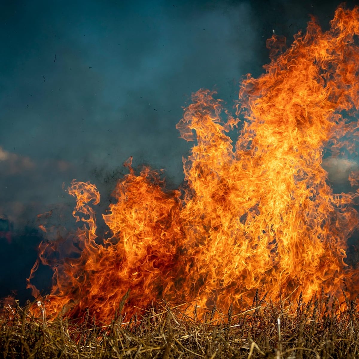 Alerta Roja en Limache y Concón por incendios forestales Alerta Roja en Limache y Concón por incendios forestales