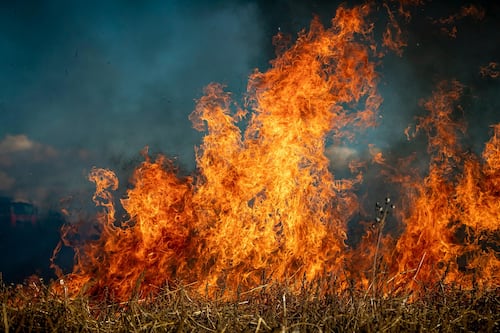 Senapred levantó Alerta Roja para las comunas de Limache y Concón producto de incendios forestales