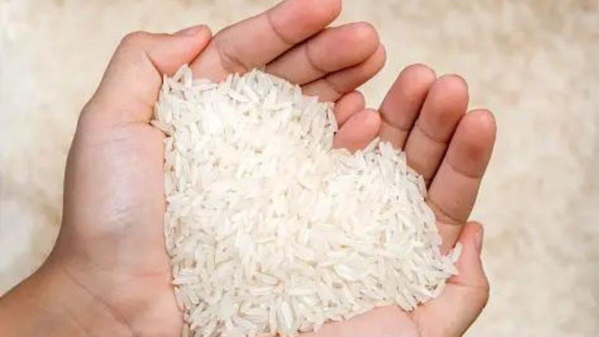 Feng Shui: el ritual con arroz que debes hacer en abril y que te llenará los bolsillos de dinero
