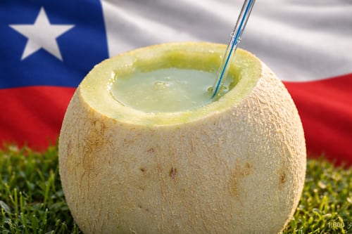 Orgullo chileno: melón con vino es elegido el segundo mejor cóctel con vino del mundo