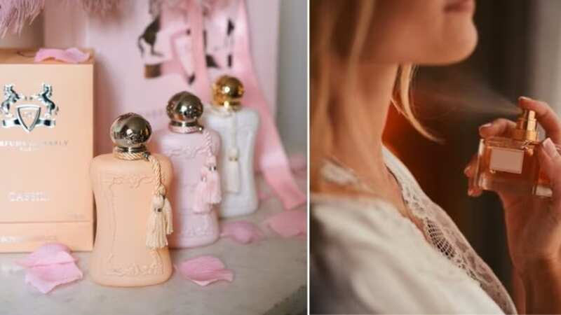 Perfumes caros com aromas cítricos São muito sedutores para todas as idades (Miss Pandora/Pinterest, Freepik)