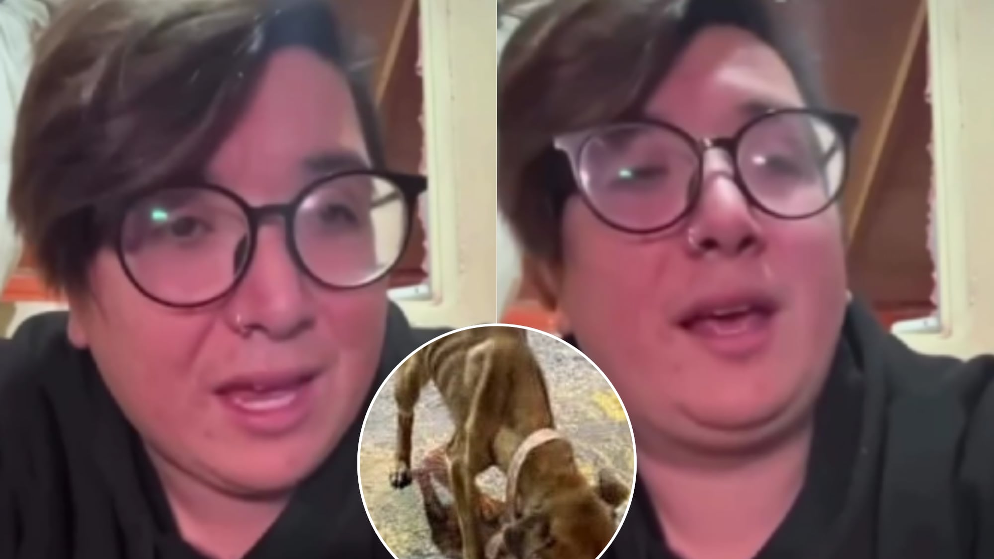 “Sé que no hubo un cuidado adecuado”: Manu TV es acusado de maltrato animal tras hallazgo de su perro desnutrido: