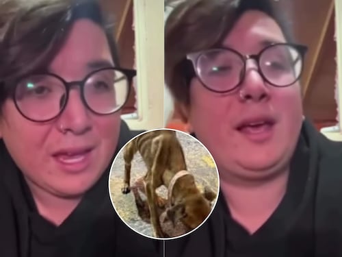 “Sé que no hubo un cuidado adecuado”: Manu TV es acusado de maltrato animal tras hallazgo de su perro desnutrido