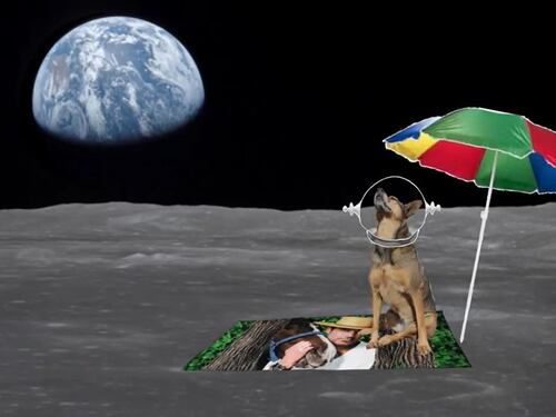 NTV despide el año con nuevos espacios y programación especial de Navidad