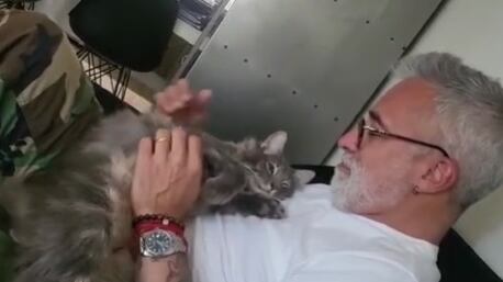 El chef adoptó al gato desde la fundación "Club Gatero", dedicada a ofrecerle los cuidados y reubicación necesarias a los animales desamparados.