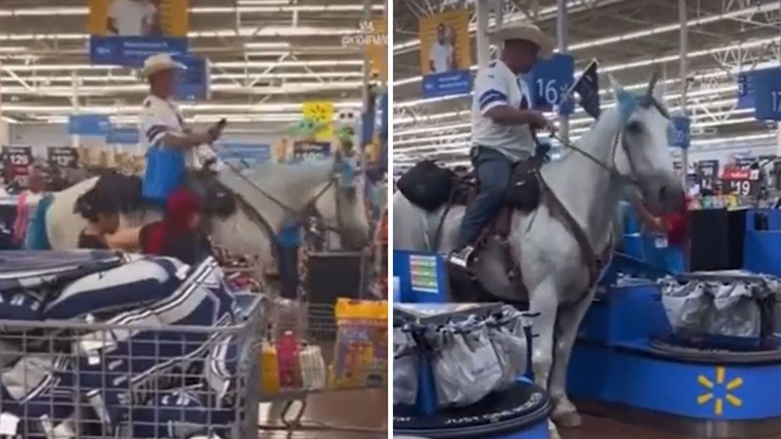 Alocado hincha entró a caballo a supermercado luego que su equipo ganara un partido