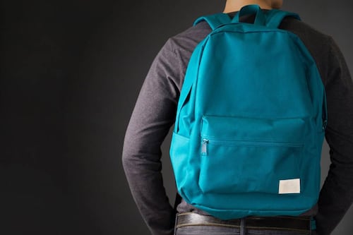 ¿Qué pasa si un alumno no quiere ser revisado?: Comisión aprueba proyecto de “Escuelas Protegidas” y pasa a Sala