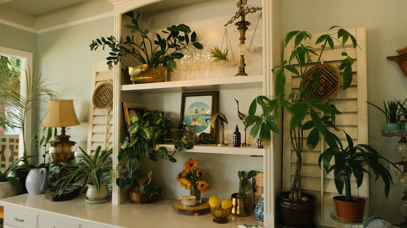 Plantas de interior que você deve colocar no seu quarto para respirar melhor à noite