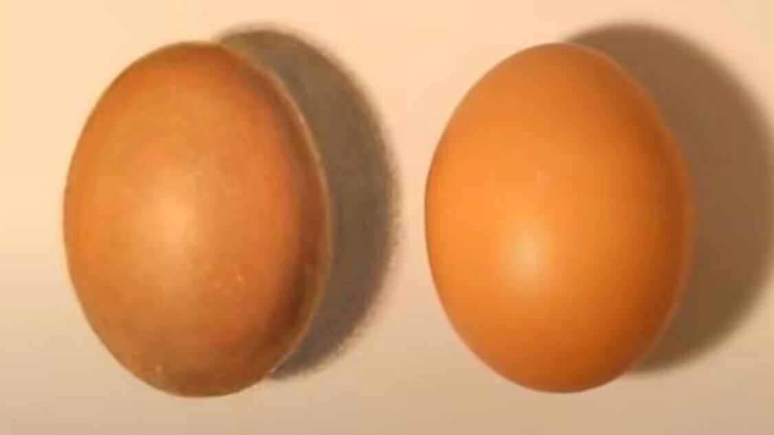 Descubre cuál es el huevo falso.