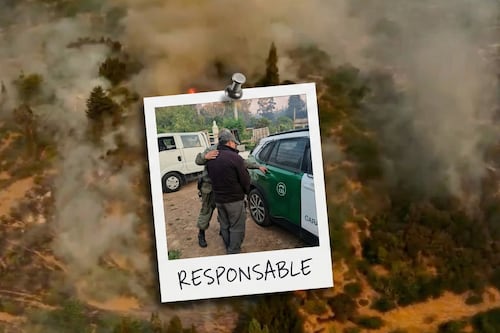 Detienen a trabajador por provocar incendio forestal que arrasó 135 hectáreas en Santo Domingo