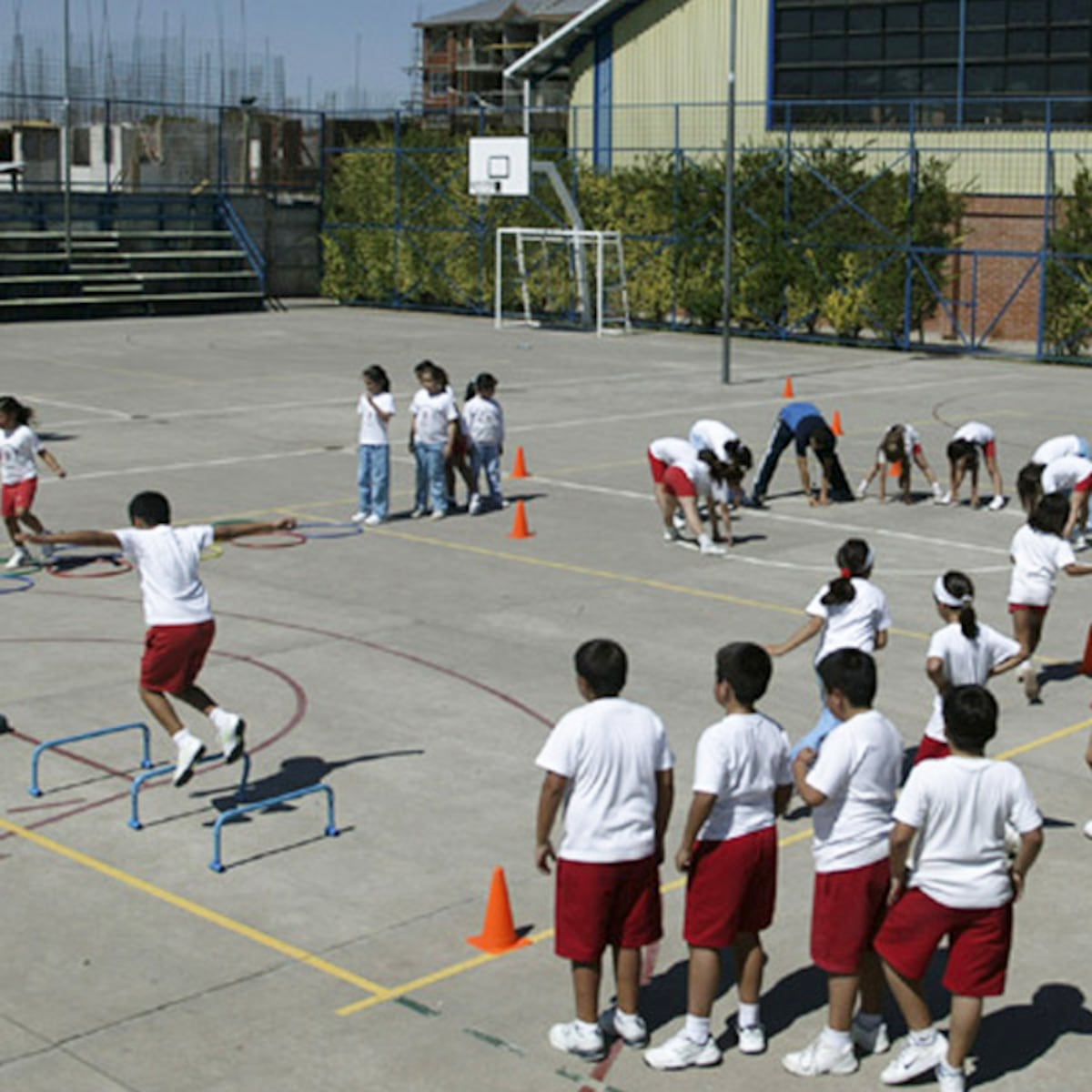 Ley en Diario Oficial: 1 hora diaria de actividad física en colegios Ley en Diario Oficial: 1 hora diaria de actividad física en colegios