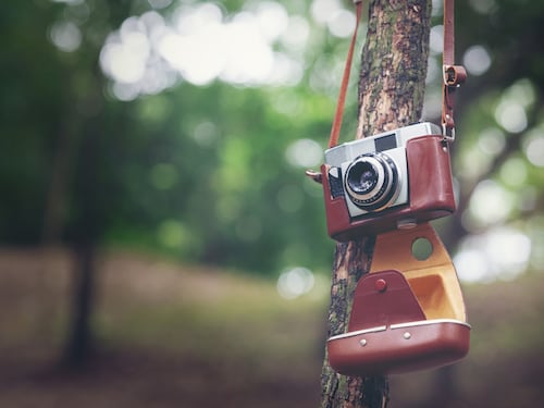 Las impactantes imágenes del GDT Nature Photographer of the Year 2026
