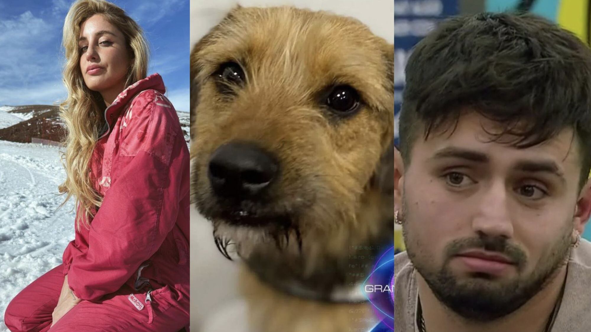 Daniela Castro, Bigote y Fernando de "Gran Hermano" | Captura