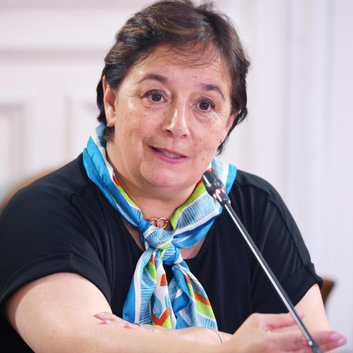 Senadora Aravena urge acción por incendios en La Araucanía Senadora Aravena urge acción por incendios en La Araucanía