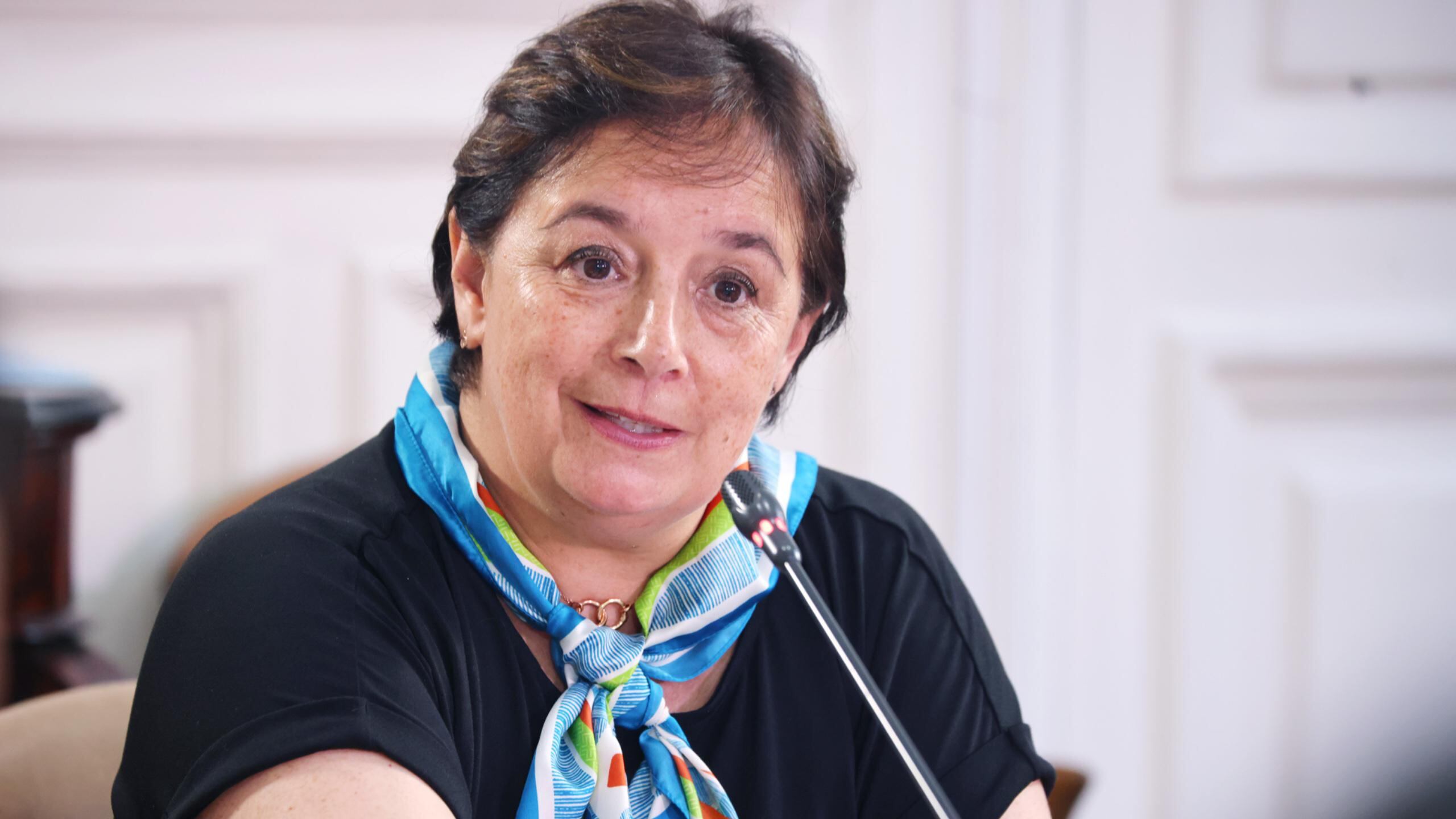 Senadora Carmen Gloria Aravena