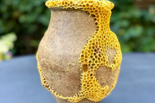 Cerámicas rotas renacen gracias a una colaboración entre una artista y las abejas