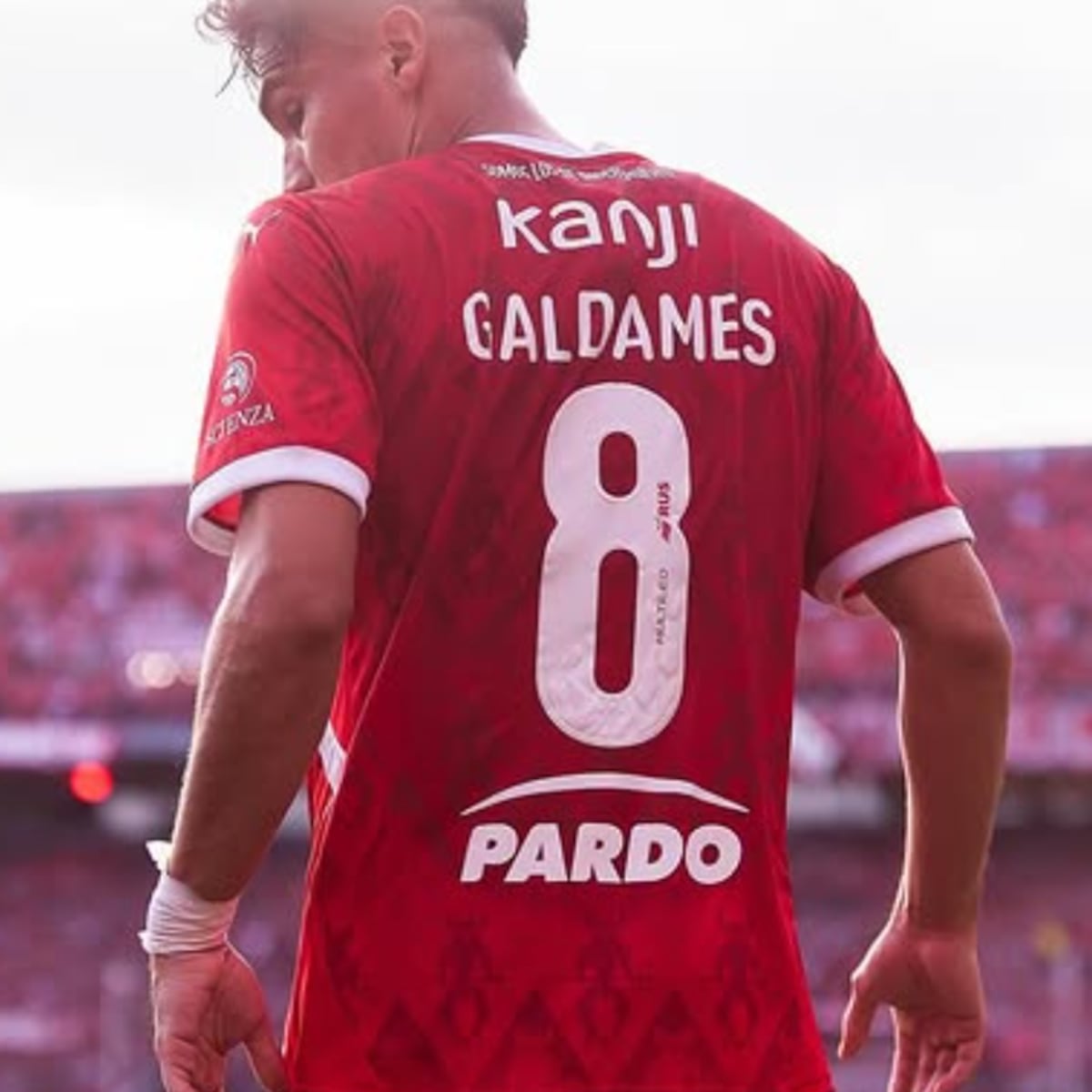 Hinchas chilenos critican a Pablo Galdames por fallo de Conmebol Hinchas chilenos critican a Pablo Galdames por fallo de Conmebol