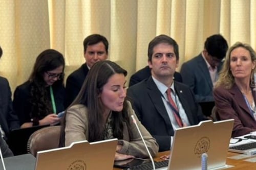 Ministra de Educación detalla cómo se cobrará la deuda del CAE: foco estará en quienes pueden pagar