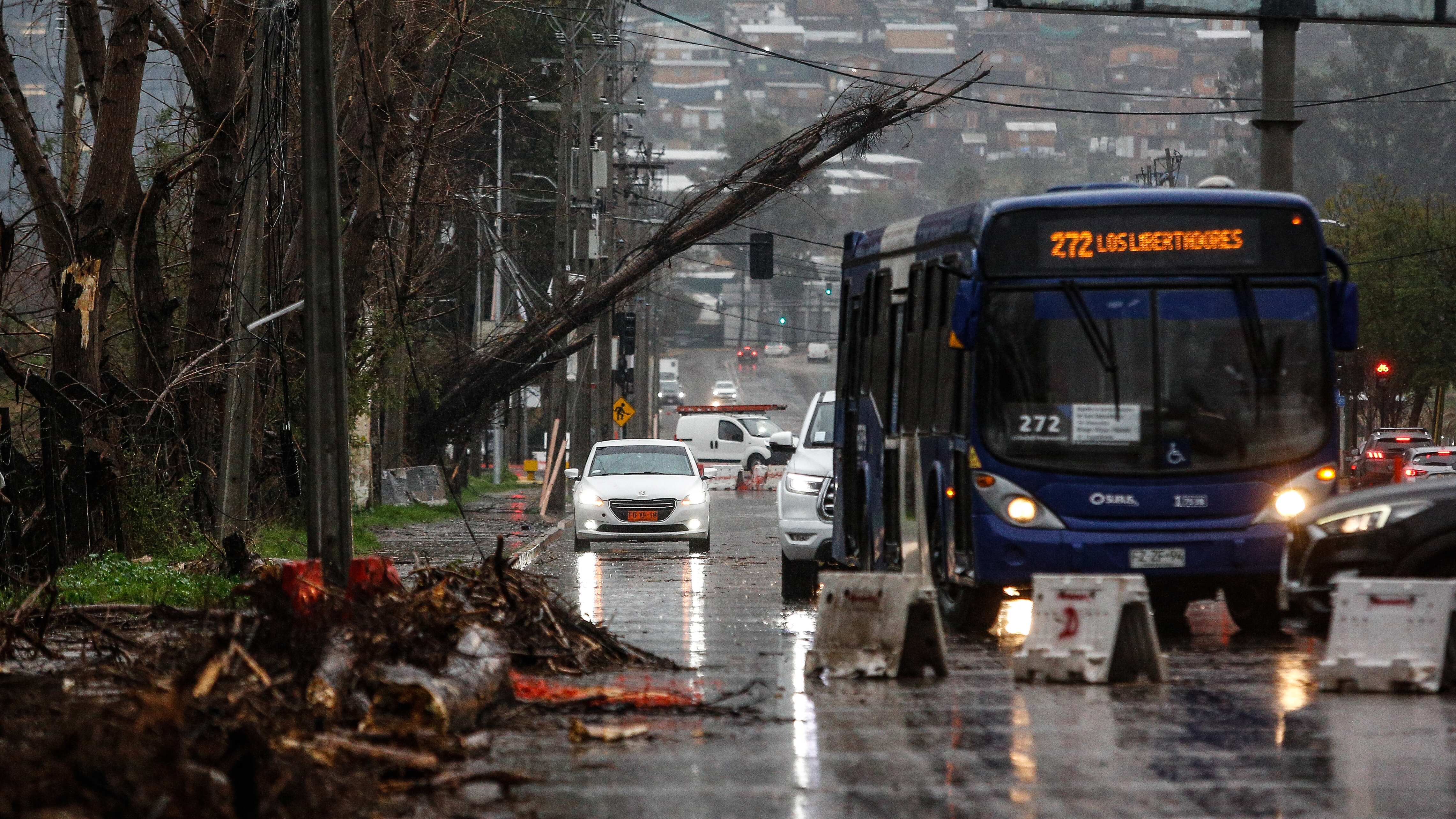 Sistema frontal en la RM
