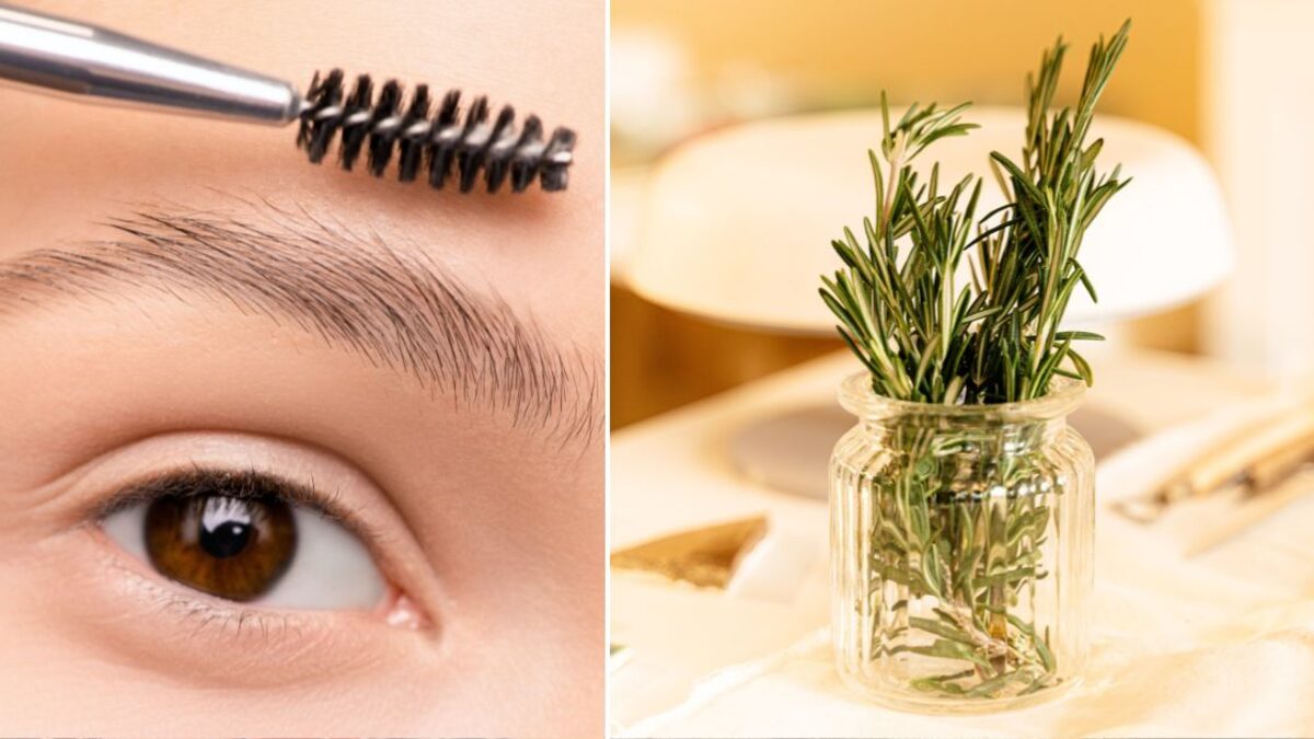 En la naturaleza, hay varios ingredientes que pueden ayudarnos a oscurecer nuestras cejas