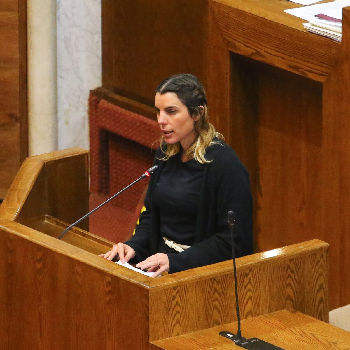 Comisión de Ética investiga a diputada Maite Orsini por caso Valdivia Comisión de Ética investiga a diputada Maite Orsini por caso Valdivia