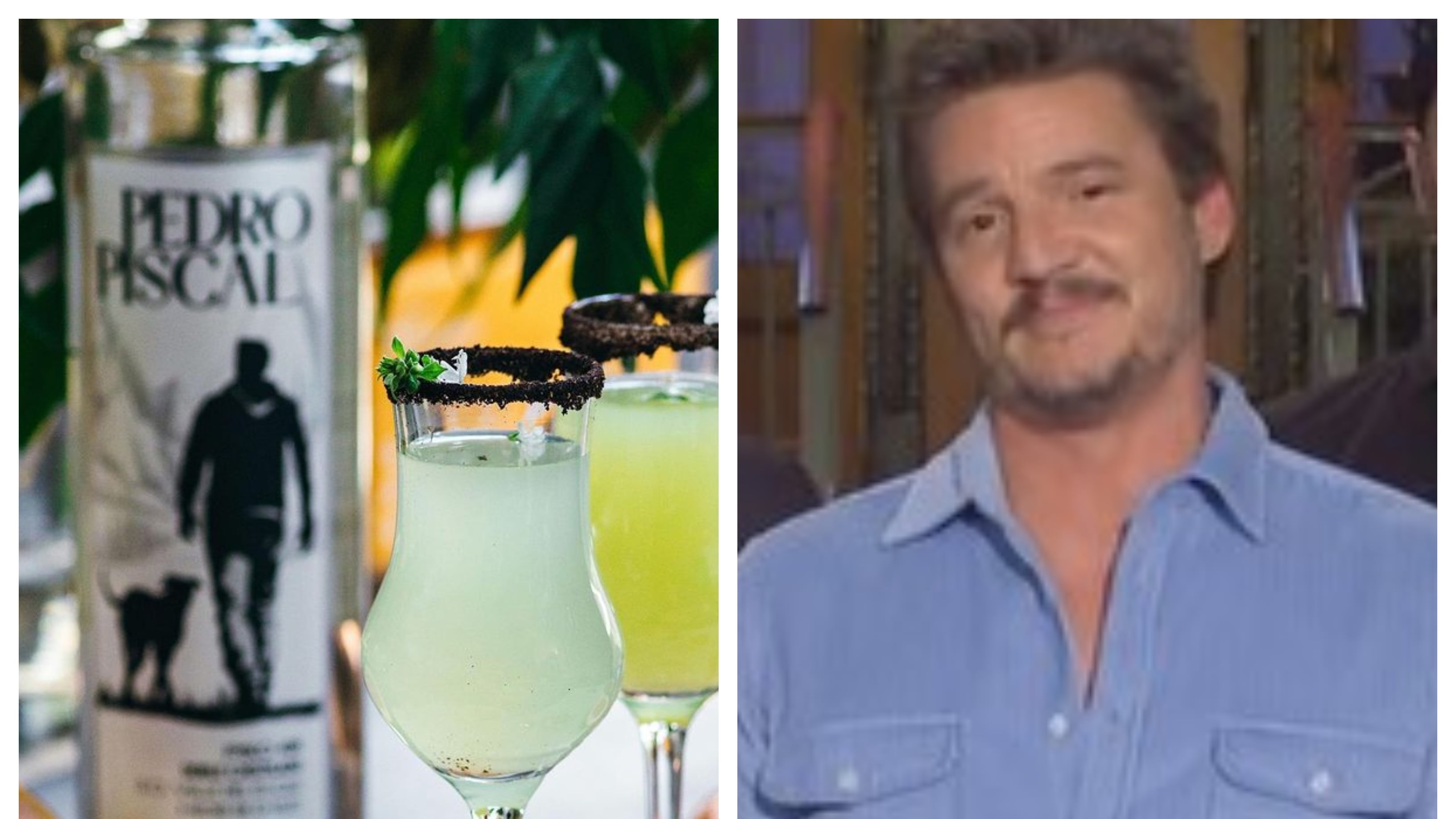 Abogados del dueño de Pisco Pedro Piscal confían en ganar juicio a ...