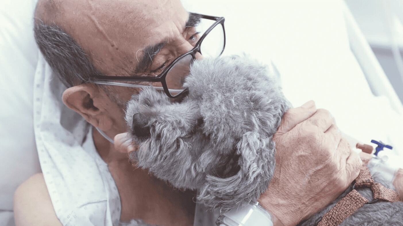 Los pacientes críticos del Hospital Clínico de la Universidad de Chile pueden ser visitados por sus mascotas
