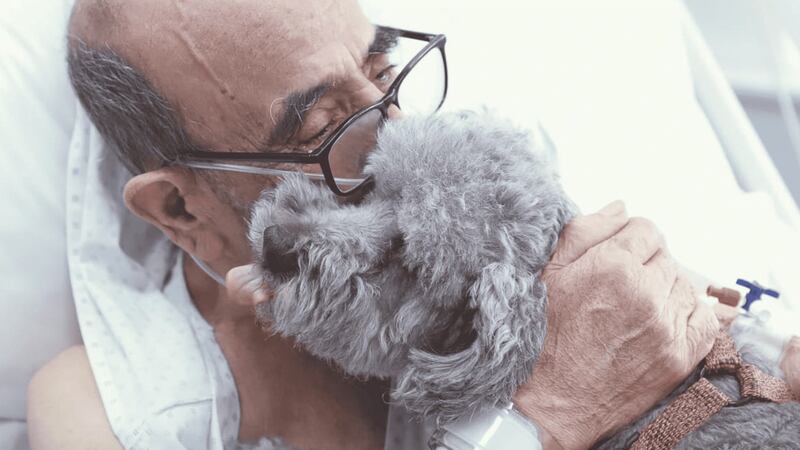 “Antes no podía respirar”: paciente crítico de la U. de Chile recibió la visita de su perrito, algo que podrán hacer otros gracias a nuevo protocolo