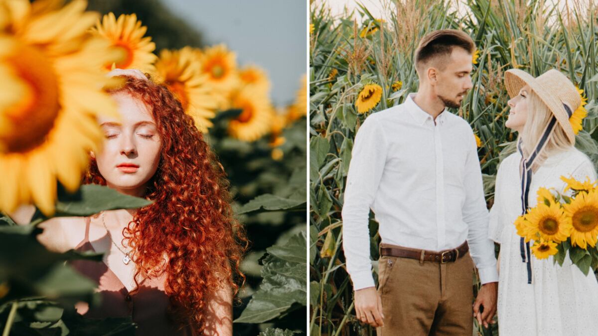 significado de los girasoles