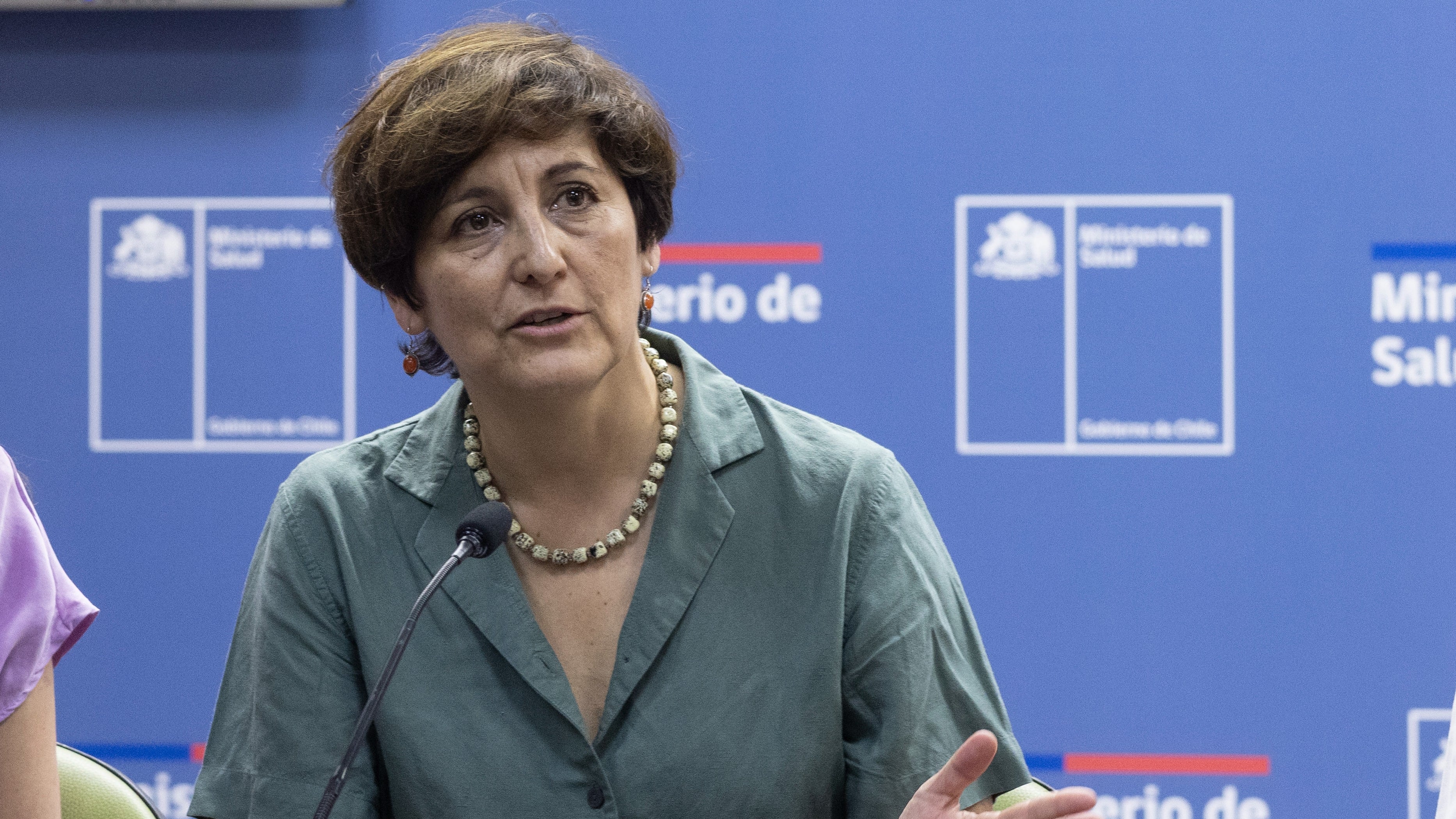 La ministra de Salud, Ximena Aguilera, se refirió a la gripe H3N2