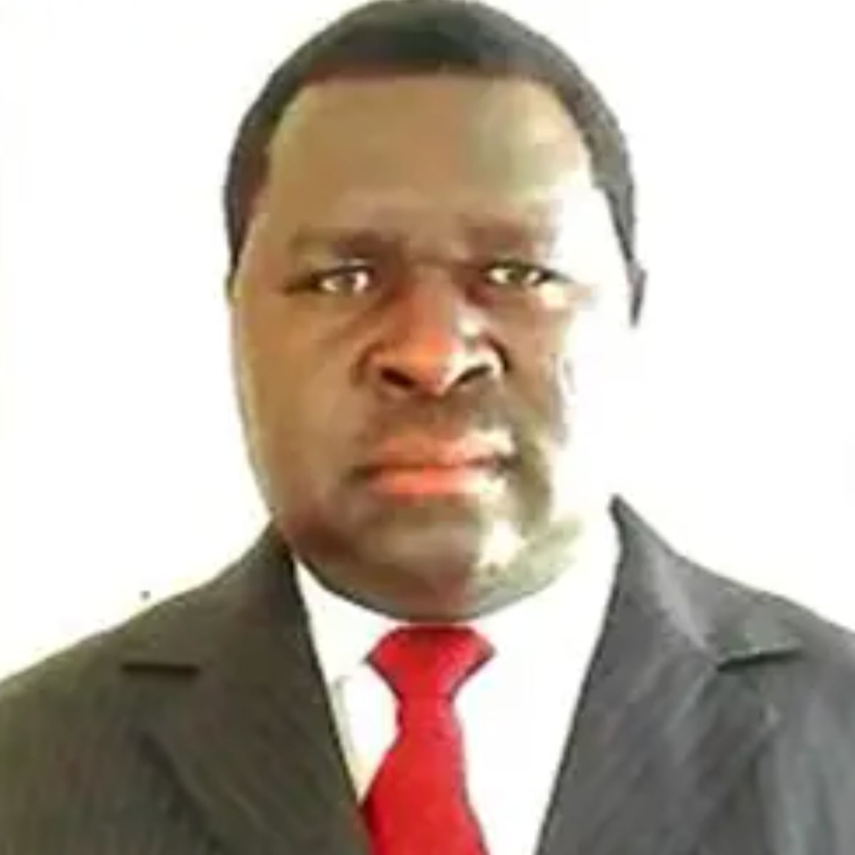 Candidato se distancia de Adolf Hitler en elecciones de Namibia Candidato se distancia de Adolf Hitler en elecciones de Namibia