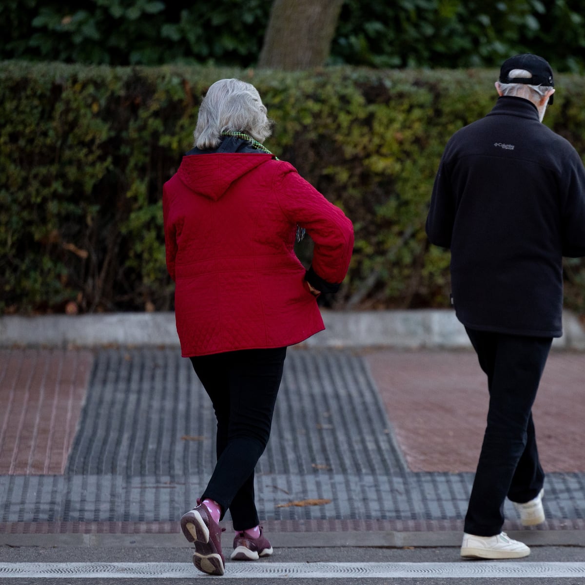Rápido envejecimiento de la población según informe OCDE Rápido envejecimiento de la población según informe OCDE