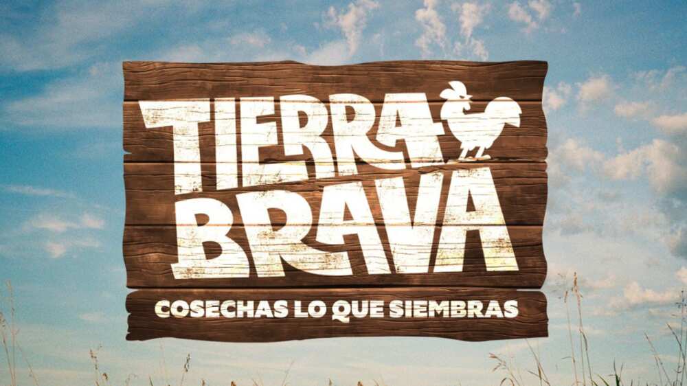 Tierra Brava | Gentileza: Canal 13