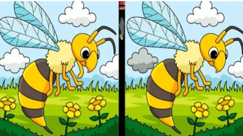 Encuentra las tres diferencias.