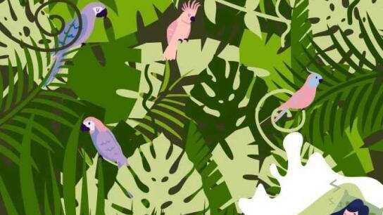 ¿En dónde está la serpiente?