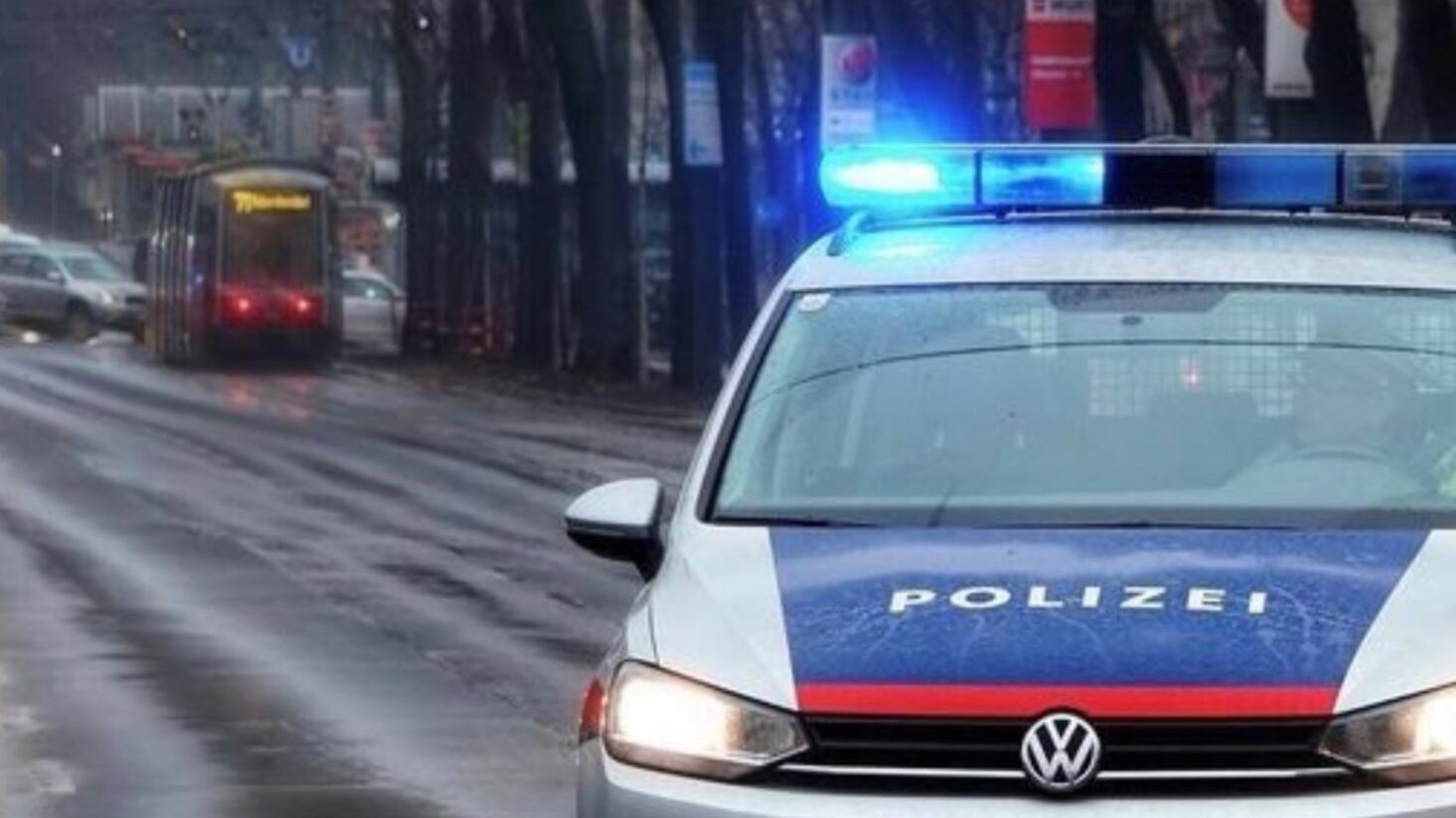 Policía de Viena, Austria