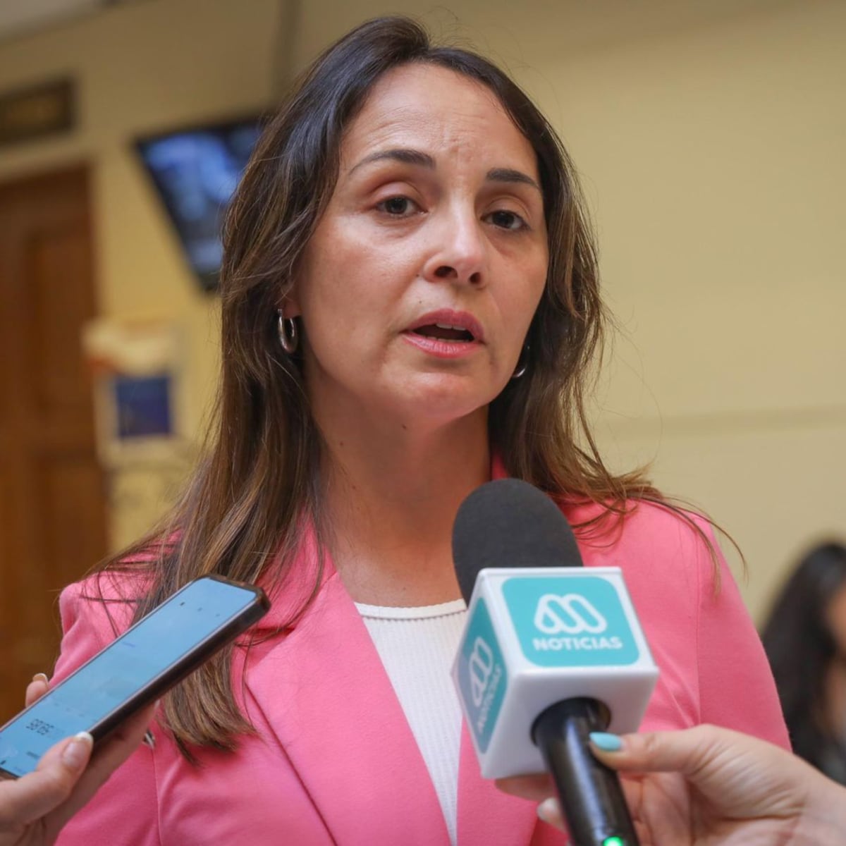 Diputada Morales insta al Gobierno a reforzar prevención de incendios en O'Higgins Diputada Morales insta al Gobierno a reforzar prevención de incendios en O'Higgins