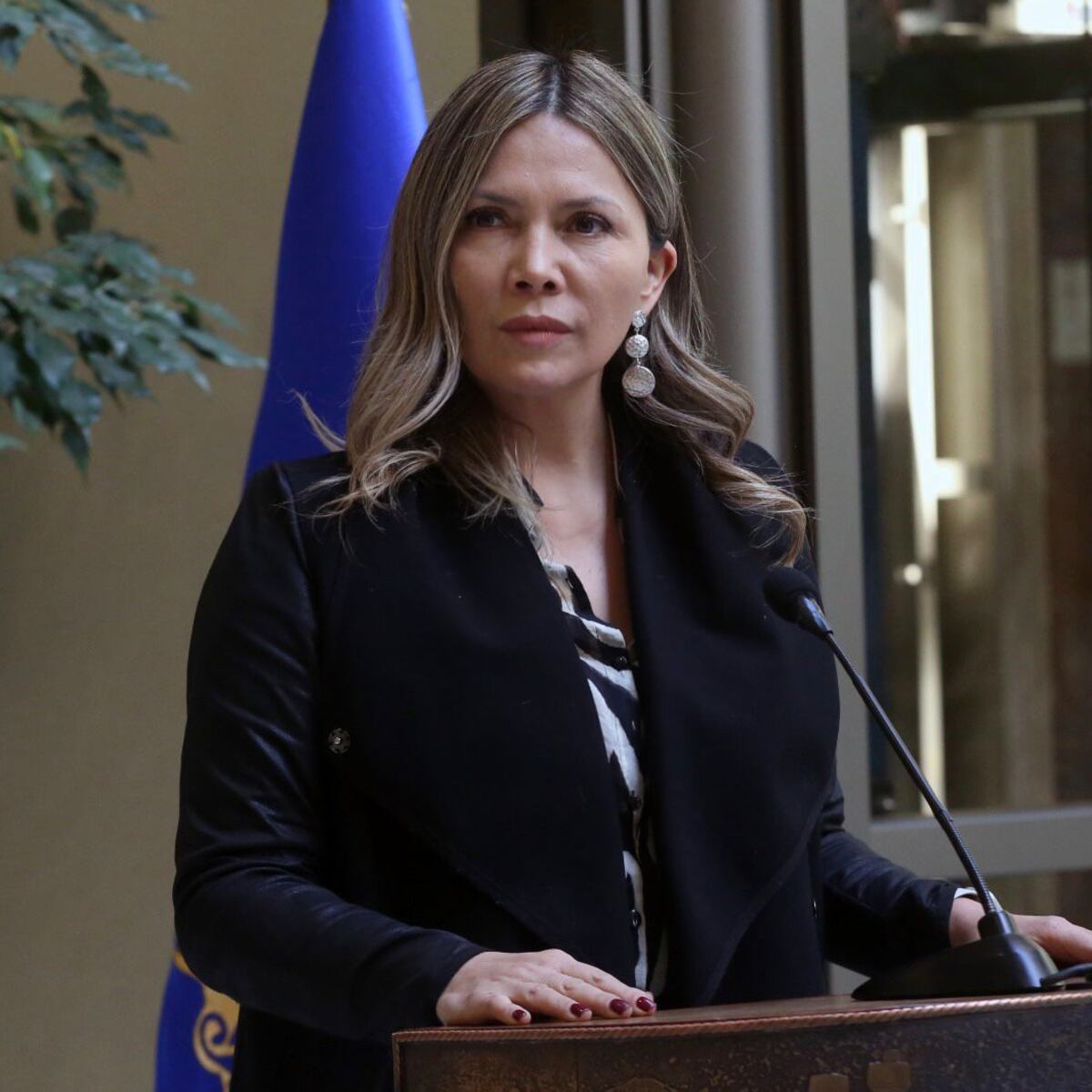 Diputada pide protección para centros de salud tras balacera en Cesfam Boca Sur Diputada pide protección para centros de salud tras balacera en Cesfam Boca Sur
