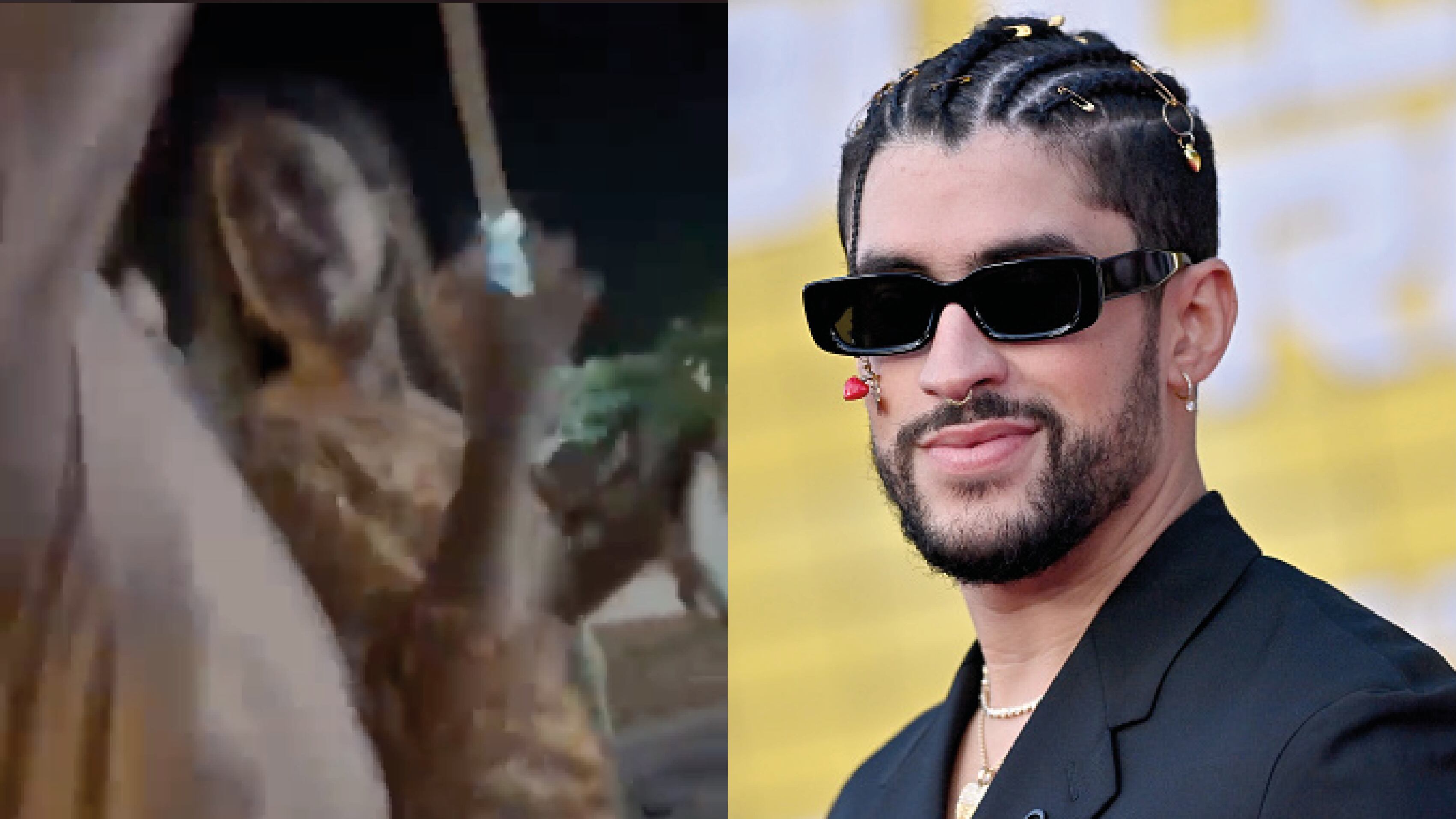 Bad Bunny lanzó el celular de una fan.